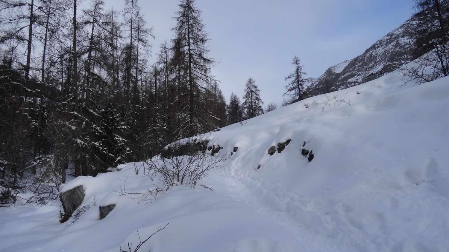 mlouise_dec_2020_011.JPG