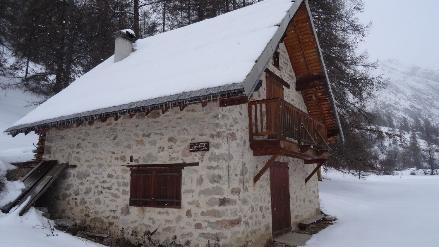 mlouise_dec_2020_017.JPG