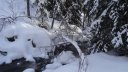 mlouise_dec_2020_010.JPG