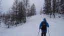 mlouise_dec_2020_022.JPG