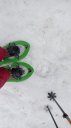 valdemarsr_janv_2021_09.jpg