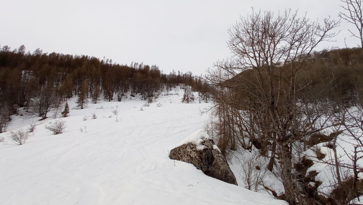 valdemarsr_janv_2021_01.jpg