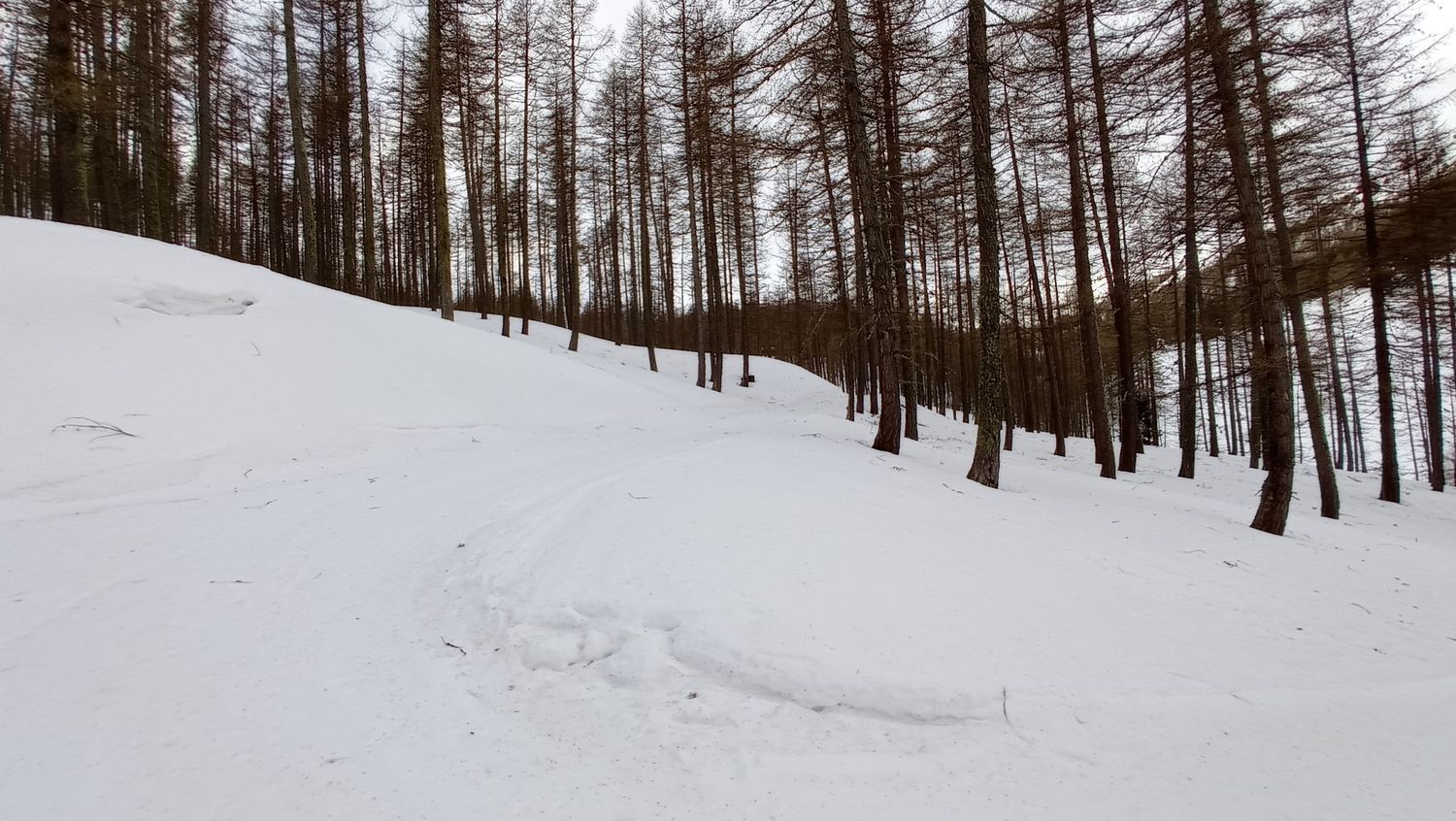 valdemarsr_janv_2021_19.jpg