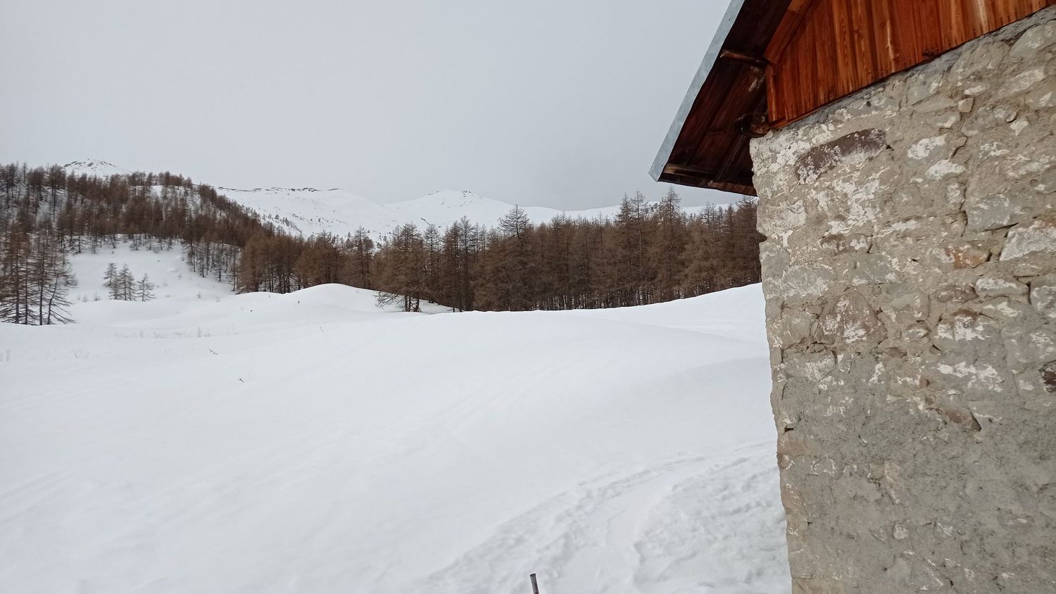 valdemarsr_janv_2021_43.jpg