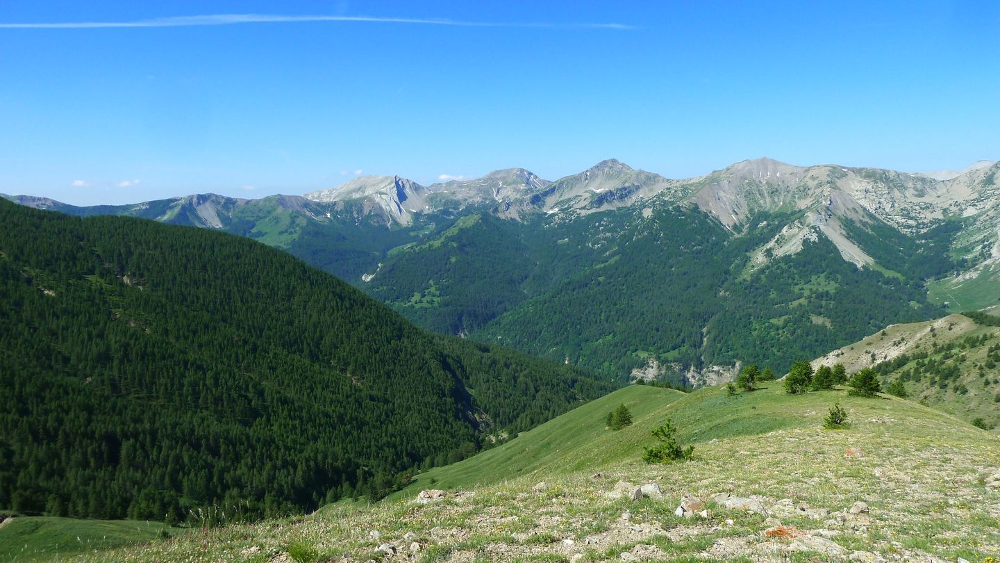 ravin_des_pres_boucheiranc_juin_2017_27.JPG