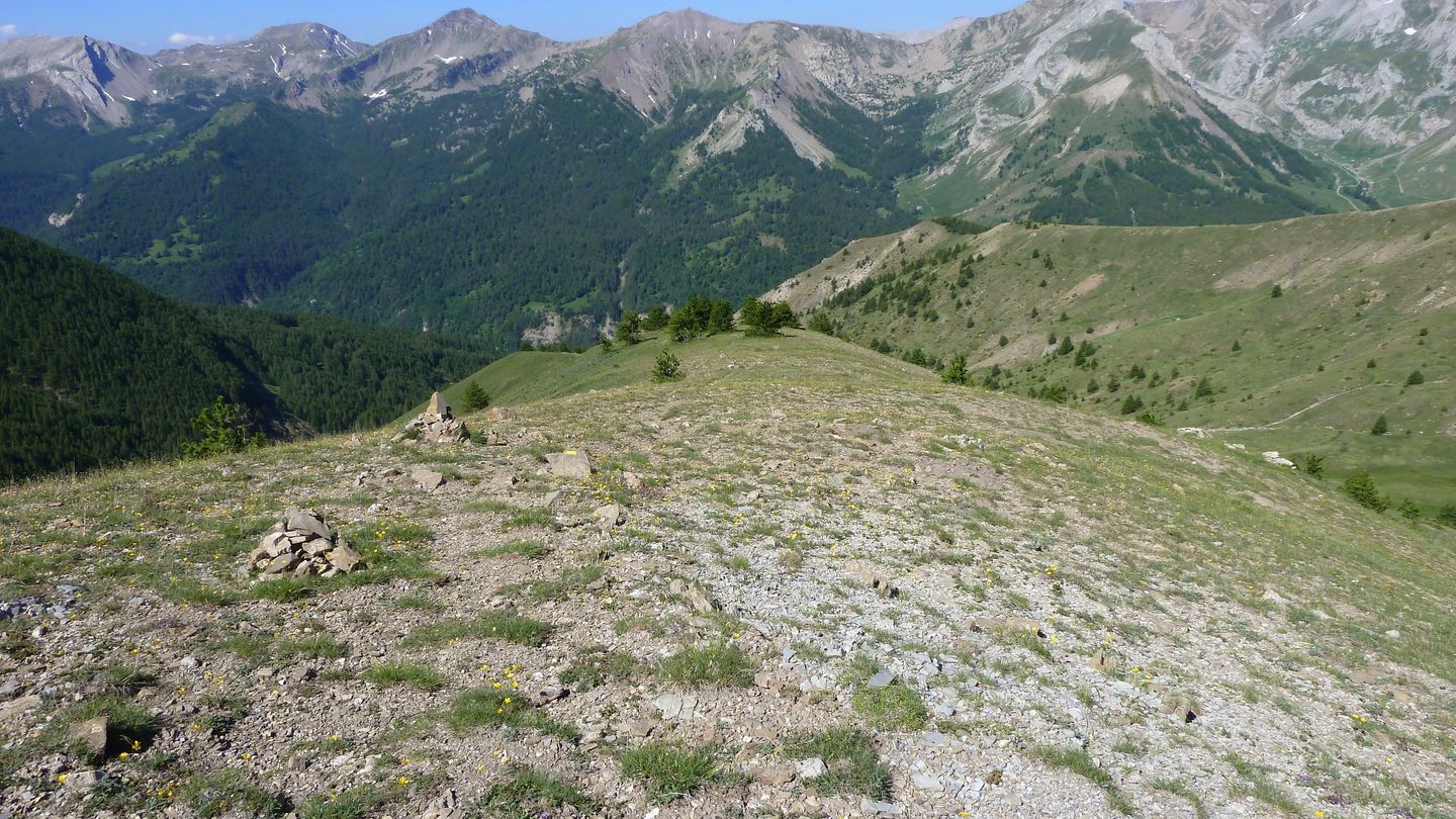 ravin_des_pres_boucheiranc_juin_2017_28.JPG