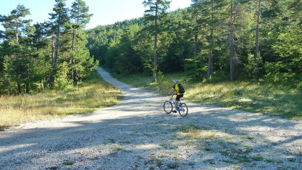 ravin_du_puy_2013_038.jpg