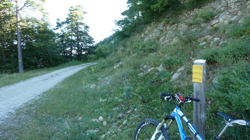 ravin_du_puy_2013_052.jpg