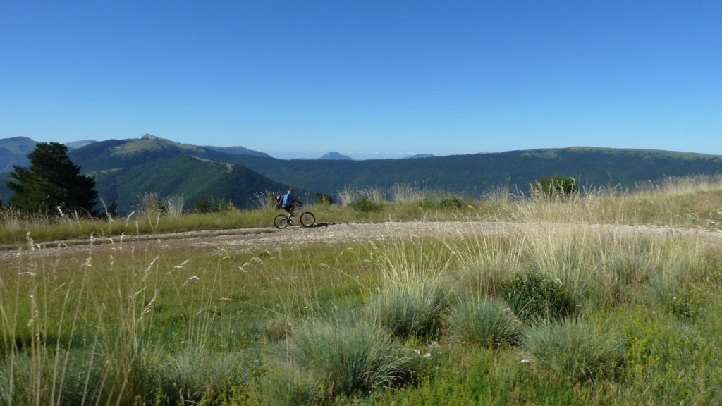 ravin_du_puy_2013_114.jpg