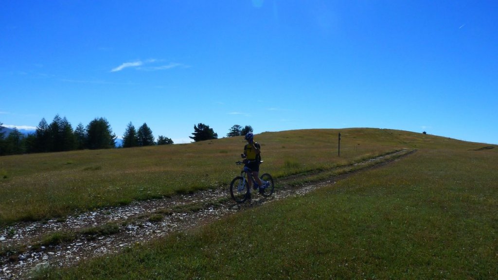ravin_du_puy_2013_126.jpg