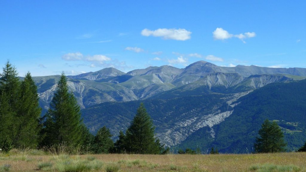 ravin_du_puy_2013_132.jpg