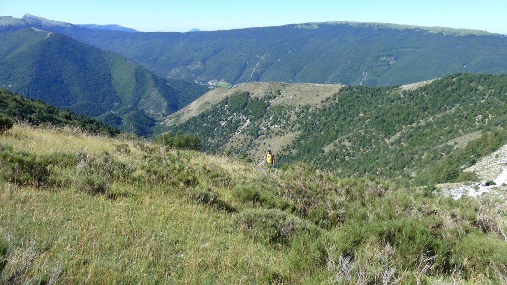 ravin_du_puy_2013_136.jpg