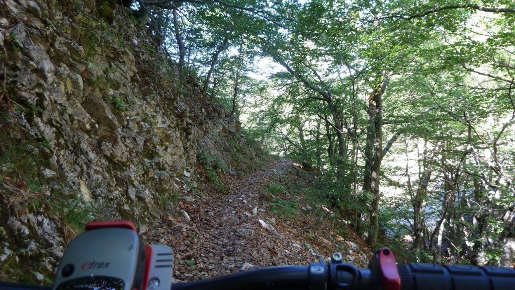 ravin_du_puy_2013_144.jpg