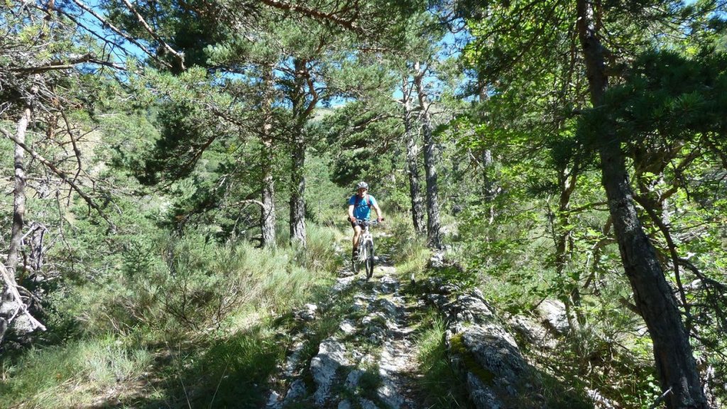 ravin_du_puy_2013_150.jpg