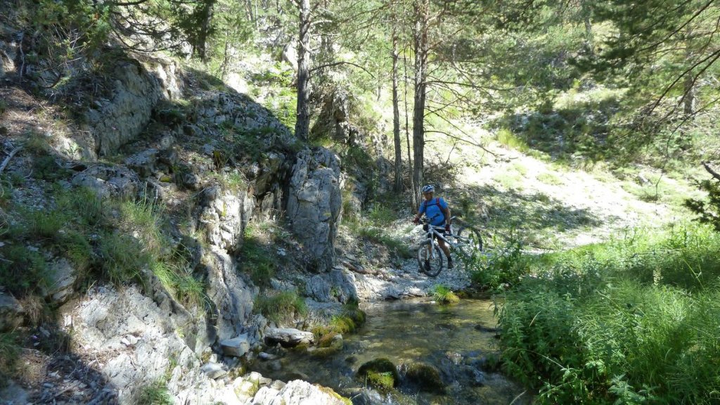 ravin_du_puy_2013_164.jpg