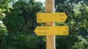 ravin_du_puy_2013_062.jpg