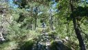 ravin_du_puy_2013_150.jpg
