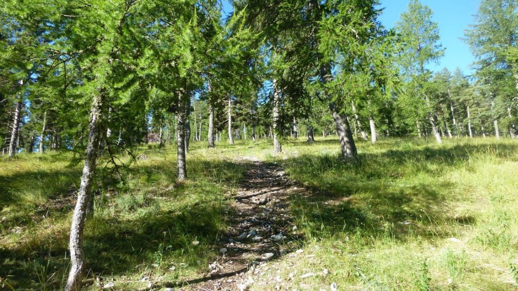 rent_juillet_2016_021_resultat.JPG