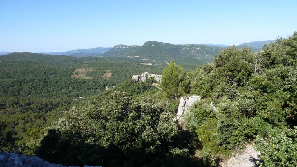 chateau_rocbaron_juillet_2012_038.jpg