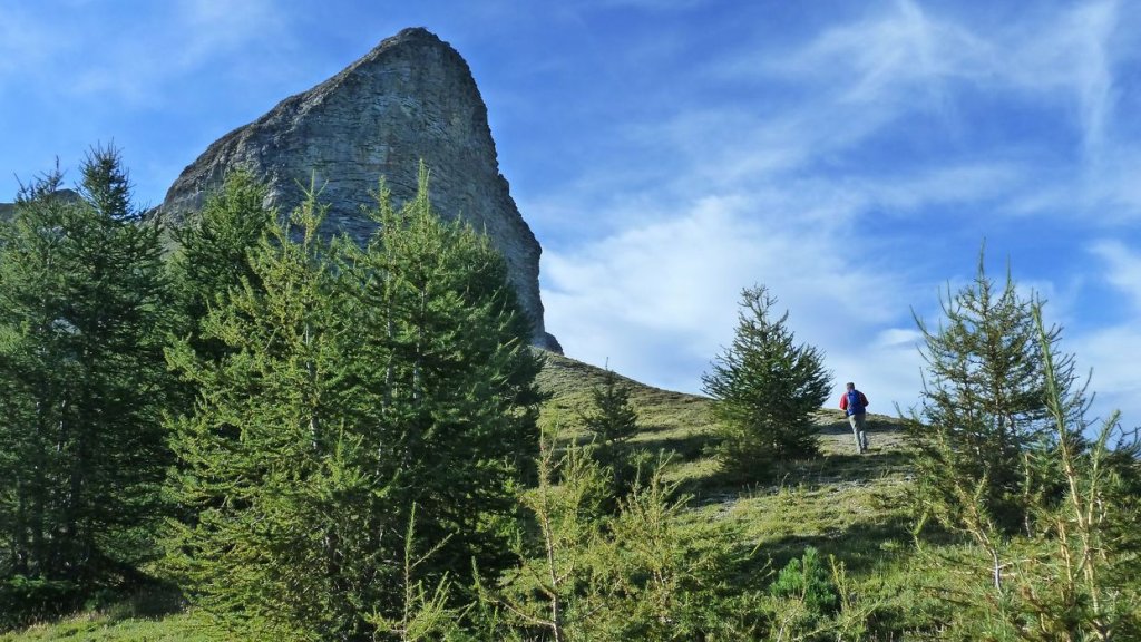 rochecline_aout_2015_147.JPG