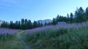 rochecline_aout_2015_041.JPG