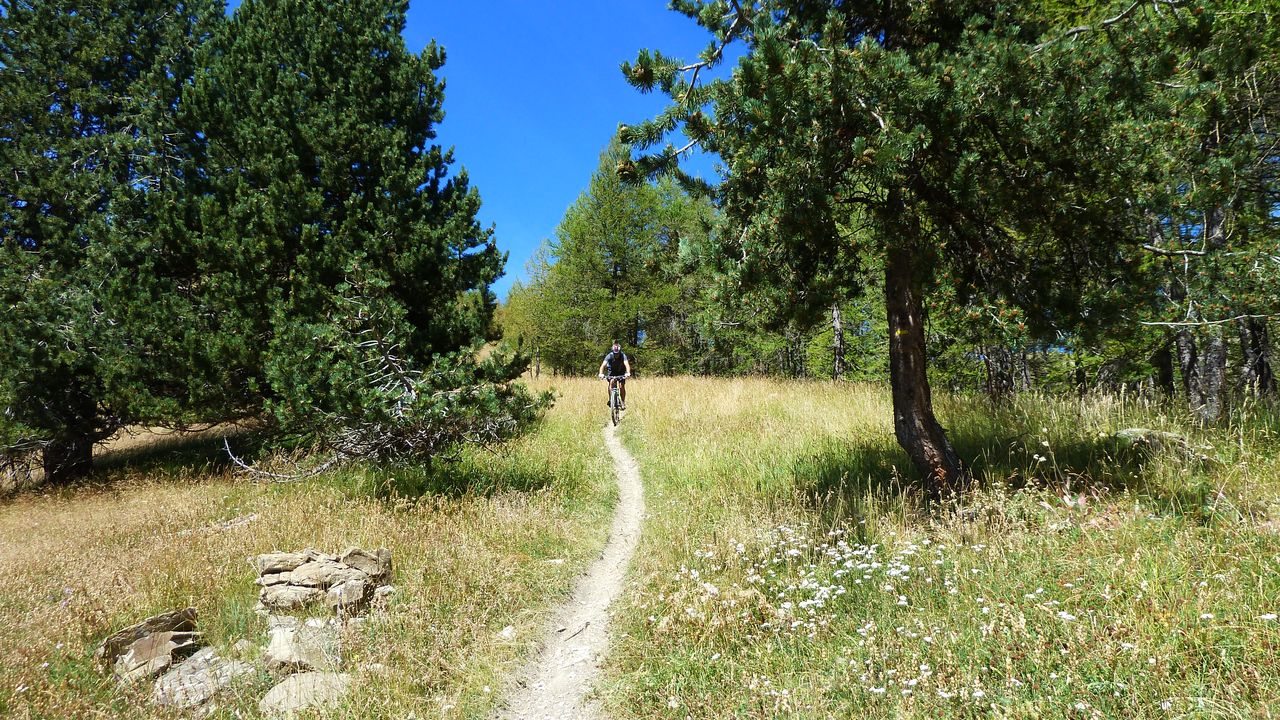 rochegrand_aout_2016_243.JPG
