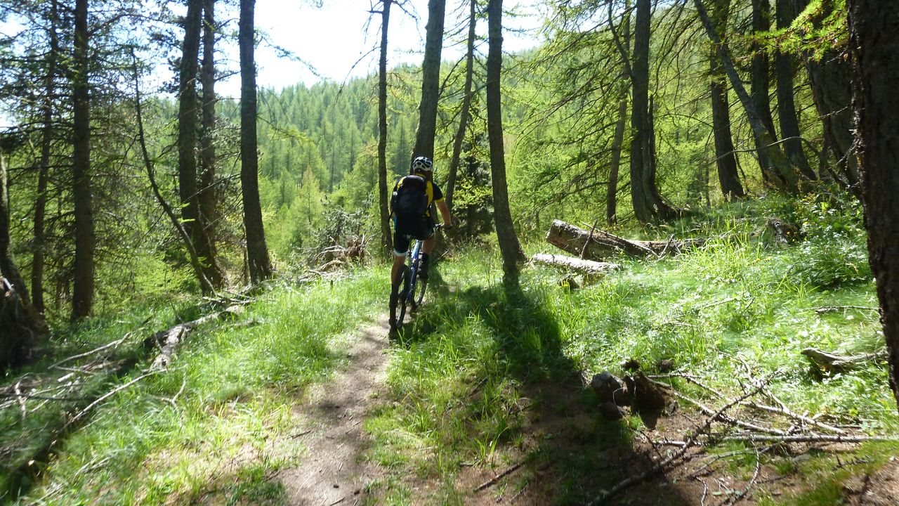 rochegrand_aout_2016_247.JPG
