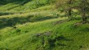 rochegrand_juillet_2016_005.JPG