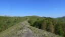 rochegrand_juillet_2016_045.JPG