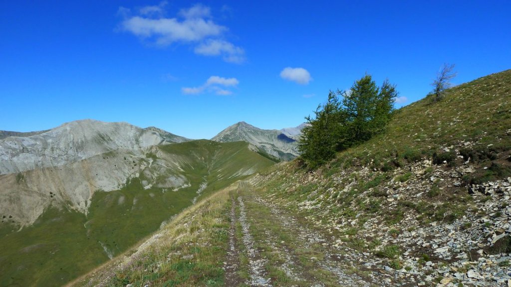 rougnouse_2013_020.jpg