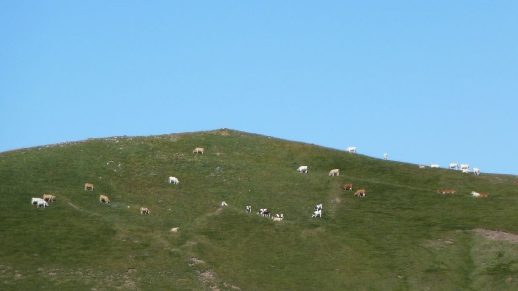 rougnouse_2013_030.jpg