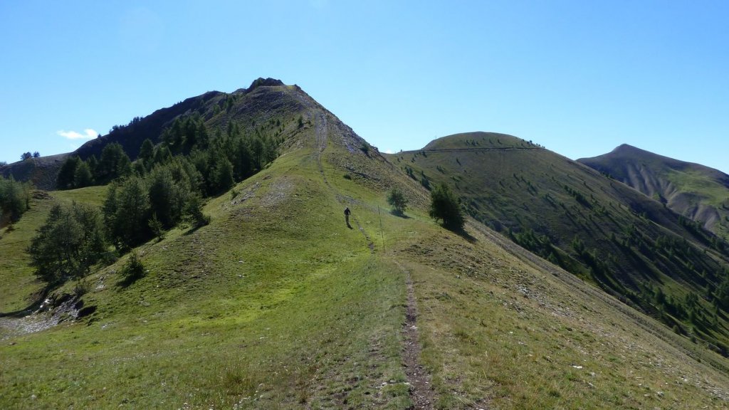 rougnouse_2013_038.jpg