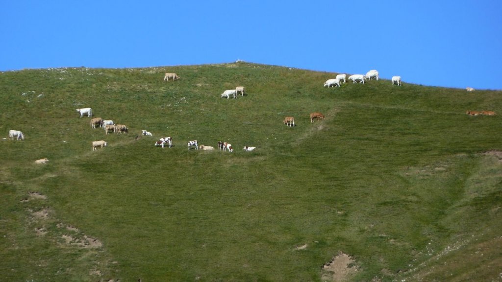 rougnouse_2013_042.jpg