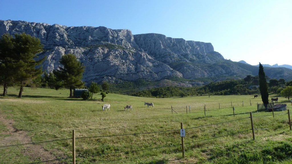 sainte_victoire_juin_2013_046.jpg