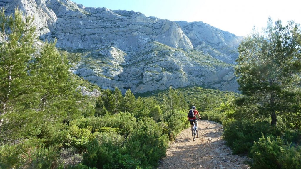 sainte_victoire_juin_2013_078.jpg