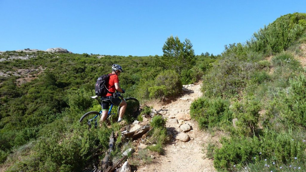 sainte_victoire_juin_2013_134.jpg