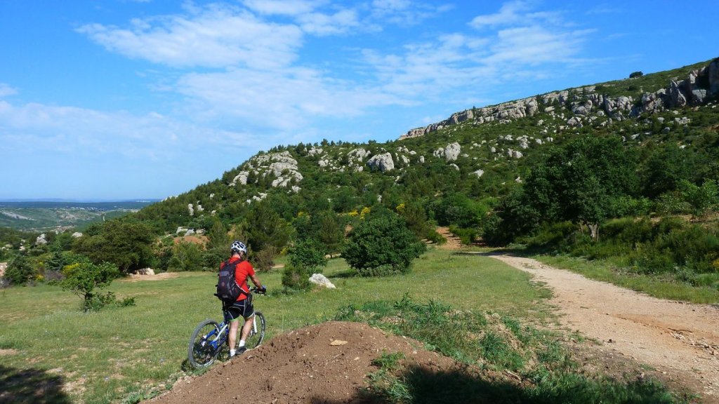 sainte_victoire_juin_2013_170.jpg