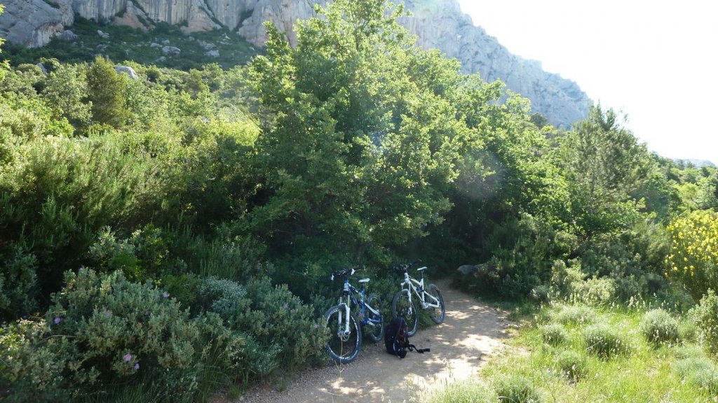 sainte_victoire_juin_2013_176.jpg