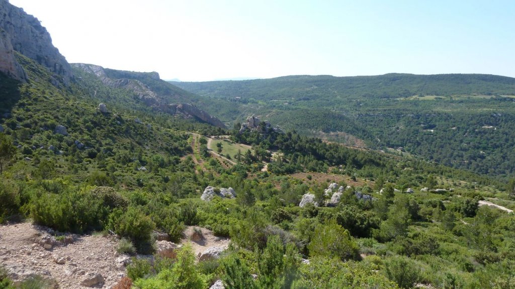 sainte_victoire_juin_2013_184.jpg