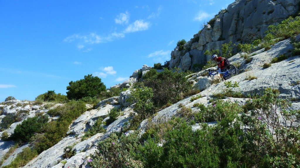 sainte_victoire_juin_2013_226.jpg