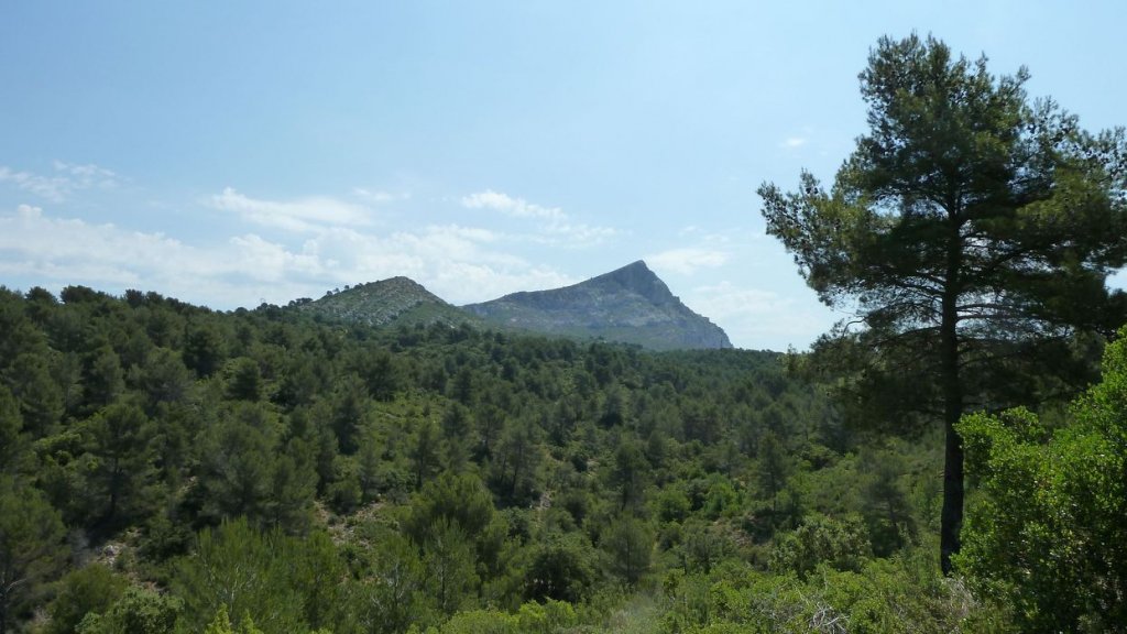 sainte_victoire_juin_2013_280.jpg