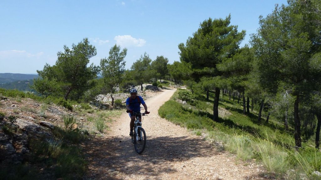 sainte_victoire_juin_2013_320.jpg