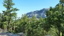 sainte_victoire_juin_2013_068.jpg