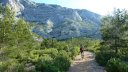 sainte_victoire_juin_2013_078.jpg