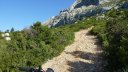 sainte_victoire_juin_2013_084.jpg