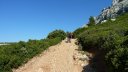 sainte_victoire_juin_2013_090.jpg
