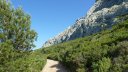 sainte_victoire_juin_2013_098.jpg