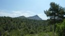 sainte_victoire_juin_2013_280.jpg