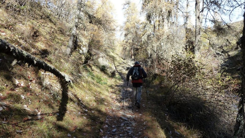 cabane_sangraure_2012_002.jpg