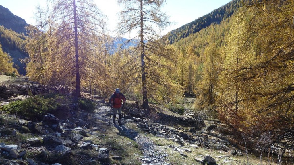 cabane_sangraure_2012_034.jpg